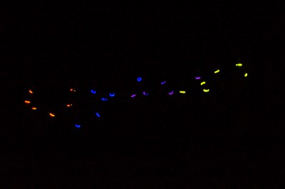 DSC05399