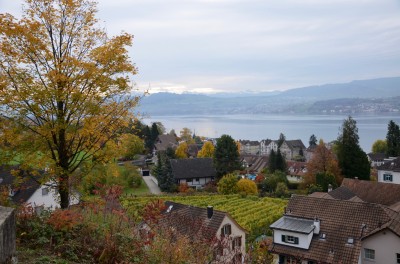 DSC 0003 (7)