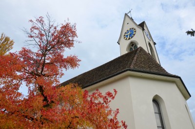 DSC 0005 (7)