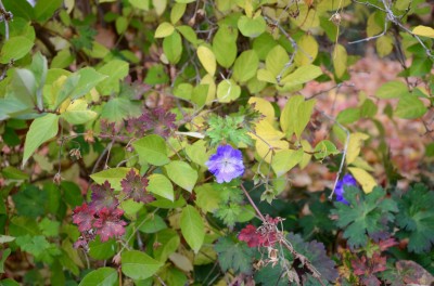 DSC 0006 (8)