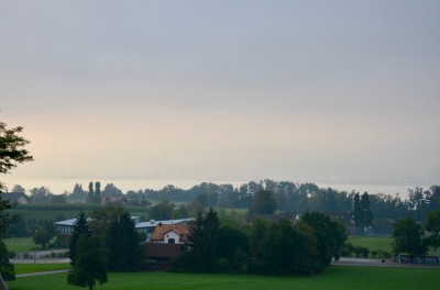 DSC 0015 (11)