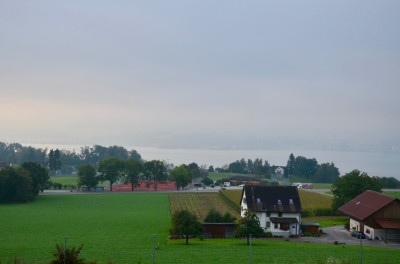 DSC 0016 (9)