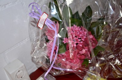 DSC 0021 (12)