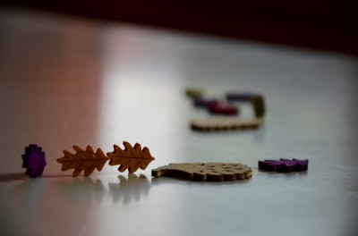 DSC 0034 (8)