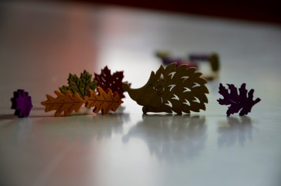 DSC 0035 (5)