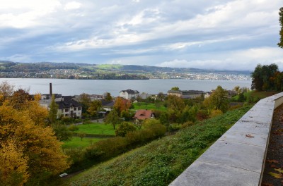 DSC 0036 (4)