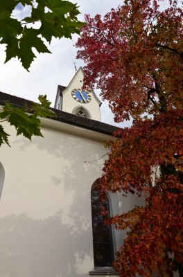 DSC 0037 (3)
