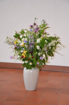 DSC 0039 (8)