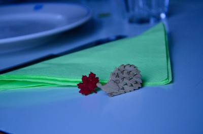 DSC 0047 (5)