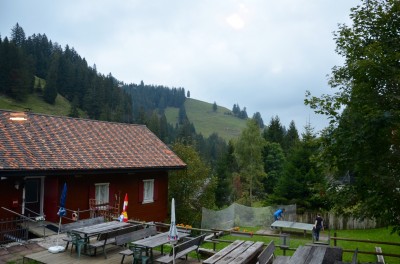 DSC 0053 (5)