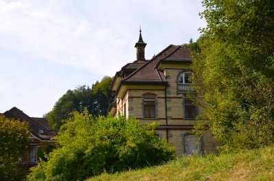 DSC 0136 (2)