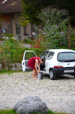 DSC 0185 (1)