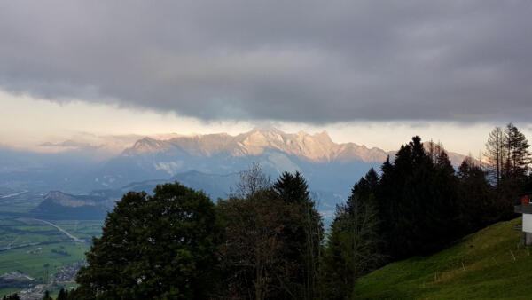 IMG 0582