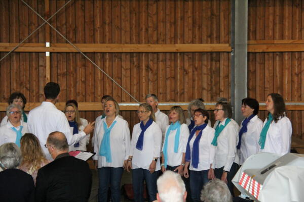 IMG 5191 (1)